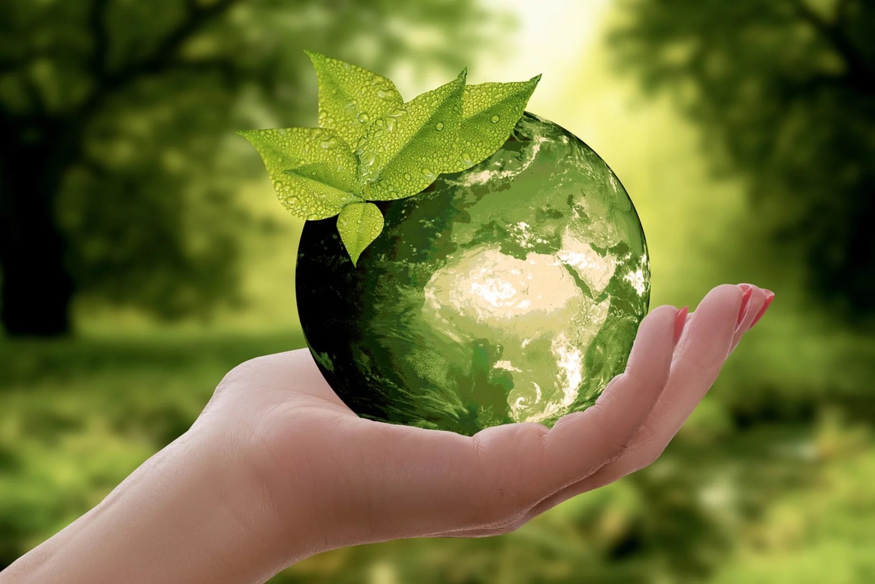 Why Sustainability Is Important In Business