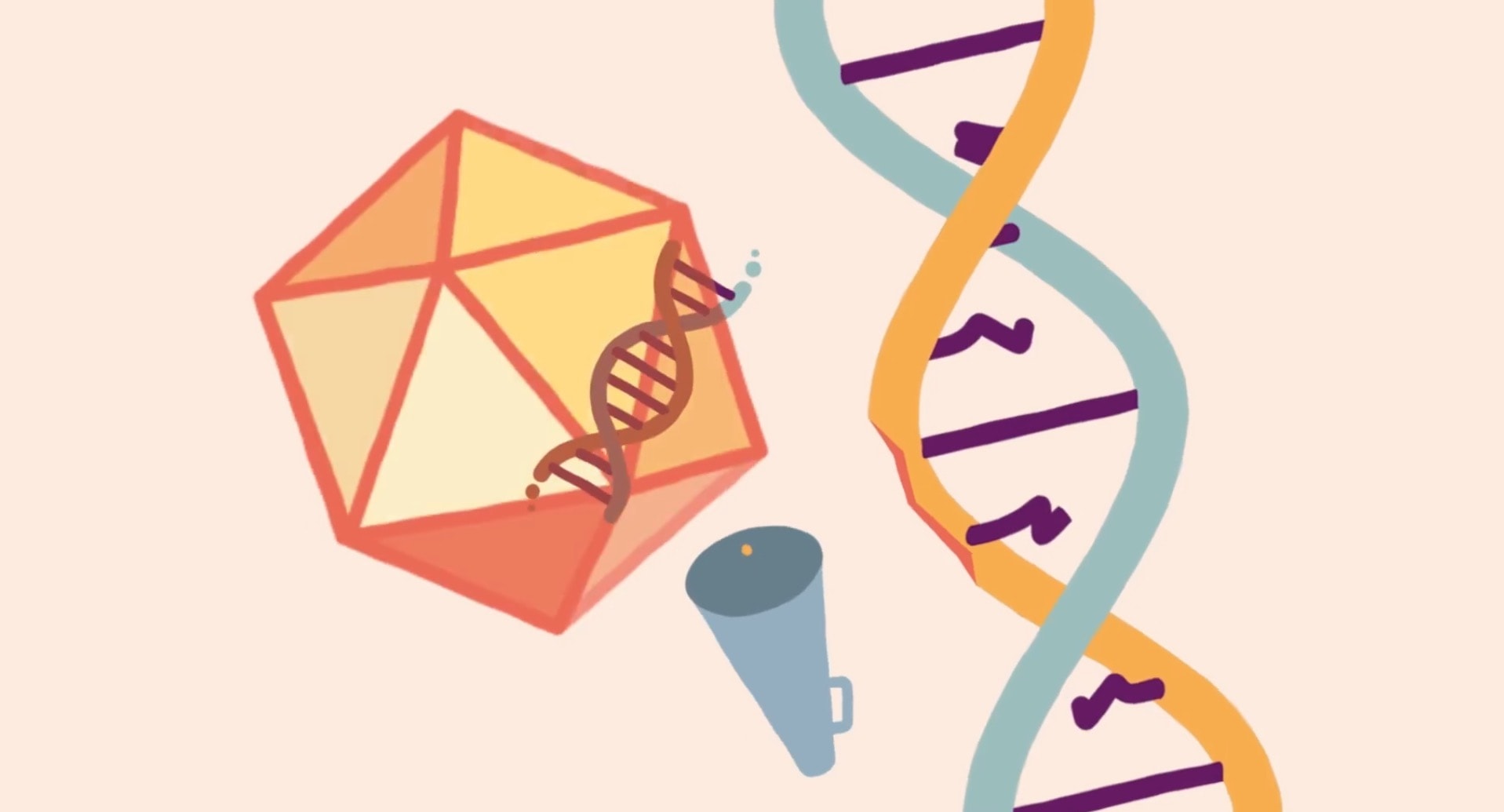 Explainer